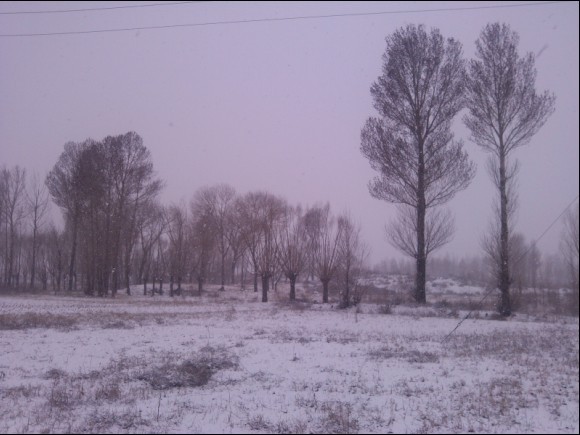 四月暮雪