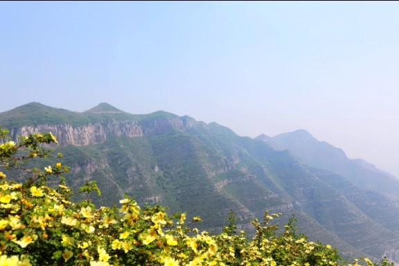春到金粟山