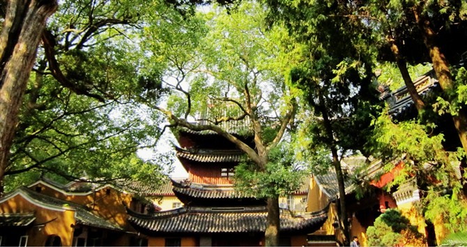《舟山掠影》