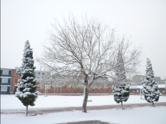 瑞雪兆丰年