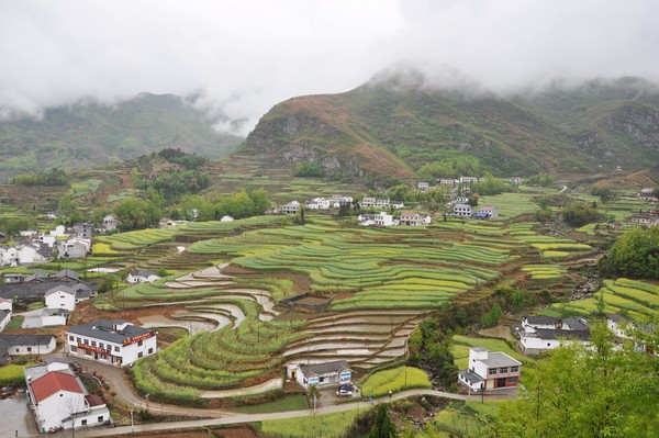 古梯田
