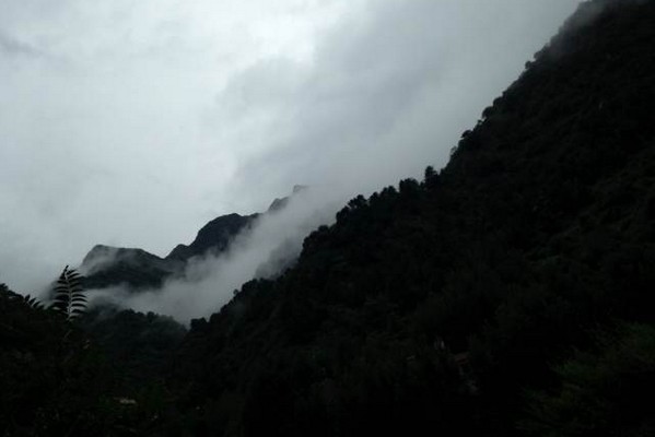 山雾