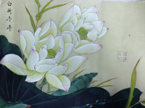 白荷亭亭