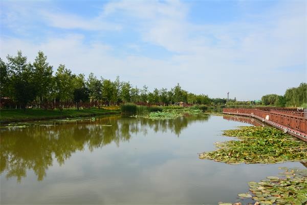 喧哗之外的浐灞湿地