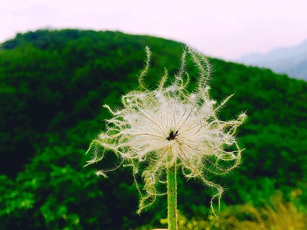 漫步田野